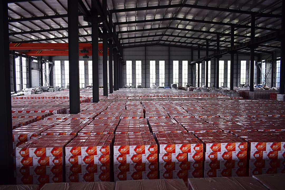 Factory inspection line